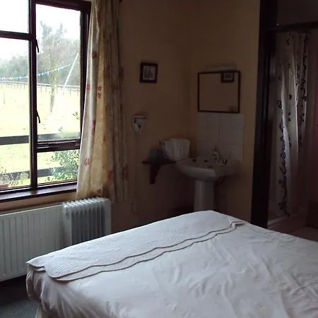 Belmont House * Waterford