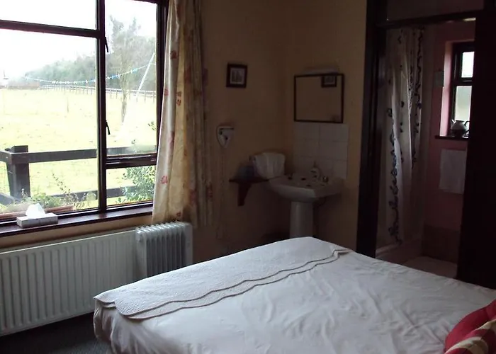 Belmont House * Waterford